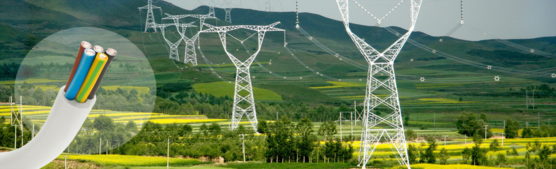 安徽電纜優(yōu)秀品牌，綠寶特種電纜，廠(chǎng)家直銷(xiāo), 0551-64203668